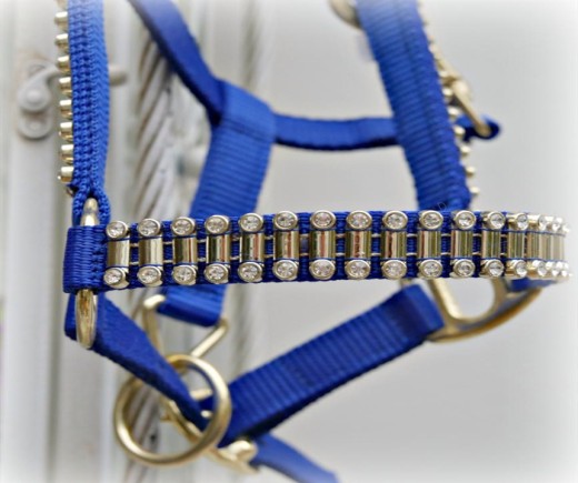 Web Laced Halter